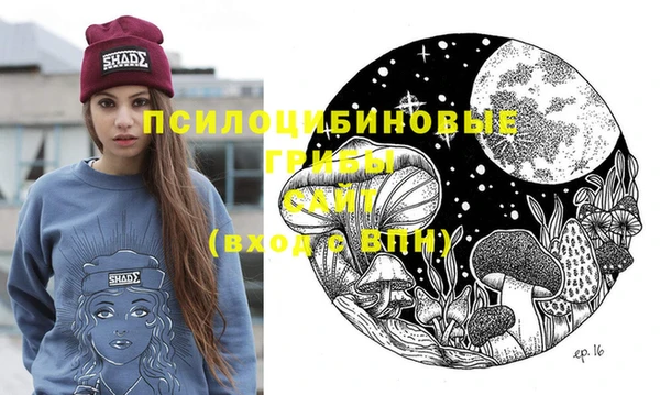 стафф Арсеньев