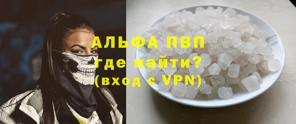 индика Аркадак