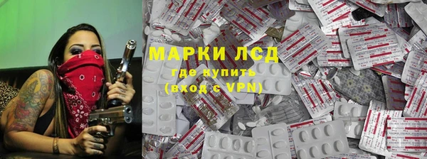 индика Аркадак