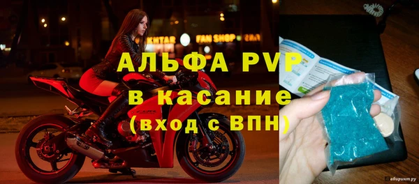 индика Аркадак