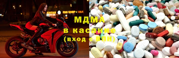 индика Аркадак