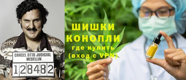индика Аркадак