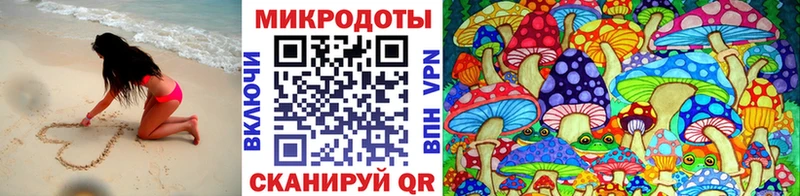 наркотики  Сергач  Галлюциногенные грибы Psilocybine cubensis 